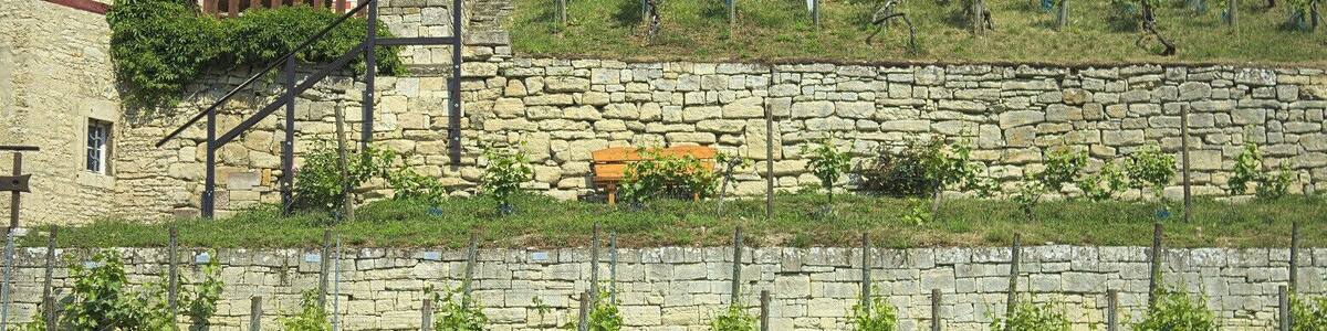 Ein Besuch des Herzoglichen Weinberges in Freyburg - Weinverkostung inklusive.
A guided walk through the Herzoglicher Weinberg - a vineyard in Freyburg. Of course you can taste the local wine.
