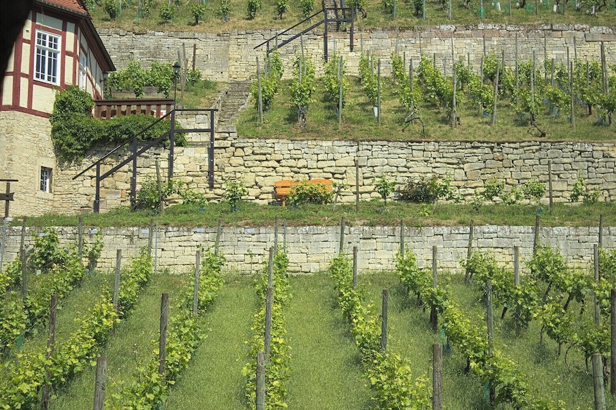 Ein Besuch des Herzoglichen Weinberges in Freyburg - Weinverkostung inklusive.
A guided walk through the Herzoglicher Weinberg - a vineyard in Freyburg. Of course you can taste the local wine.