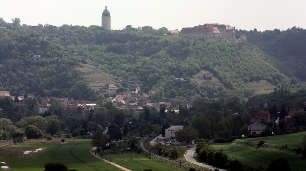 View from Zscheiplitz to the castle Neuenburg