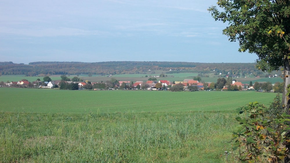 Ländliche Landschaft mit grünen Feldern, verstreuten Häusern und einem Baum im Vordergrund.