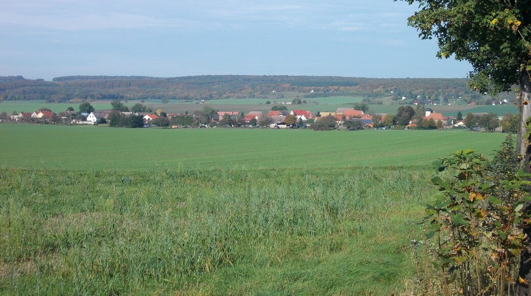Dobichau (Freyburg/Unstrut, district. Burgenlandkreis, Saxony-anhalt) from the south-east