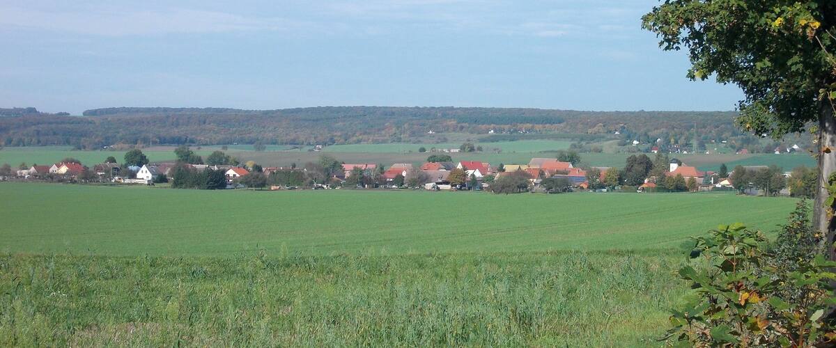 A rural landscape with green fields, scattered houses, and a tree in the foreground.