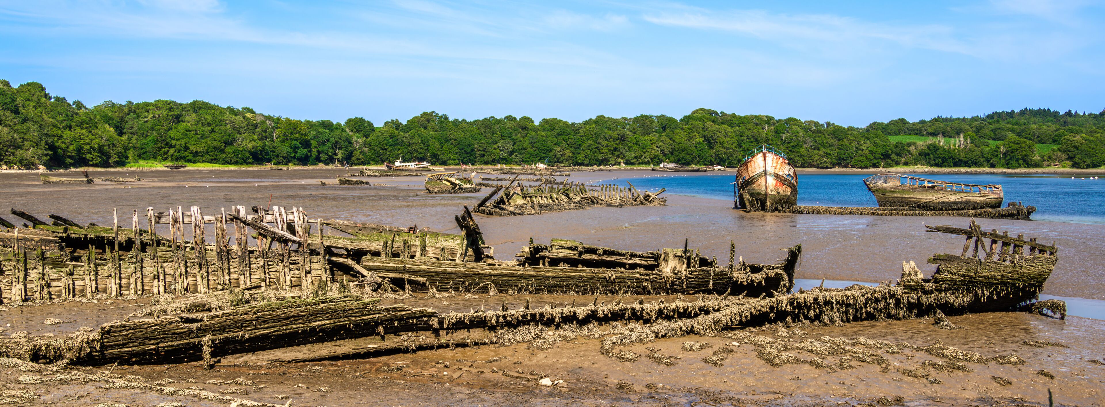 A coastal landscape with shipwrecks and a forested hill in the background.