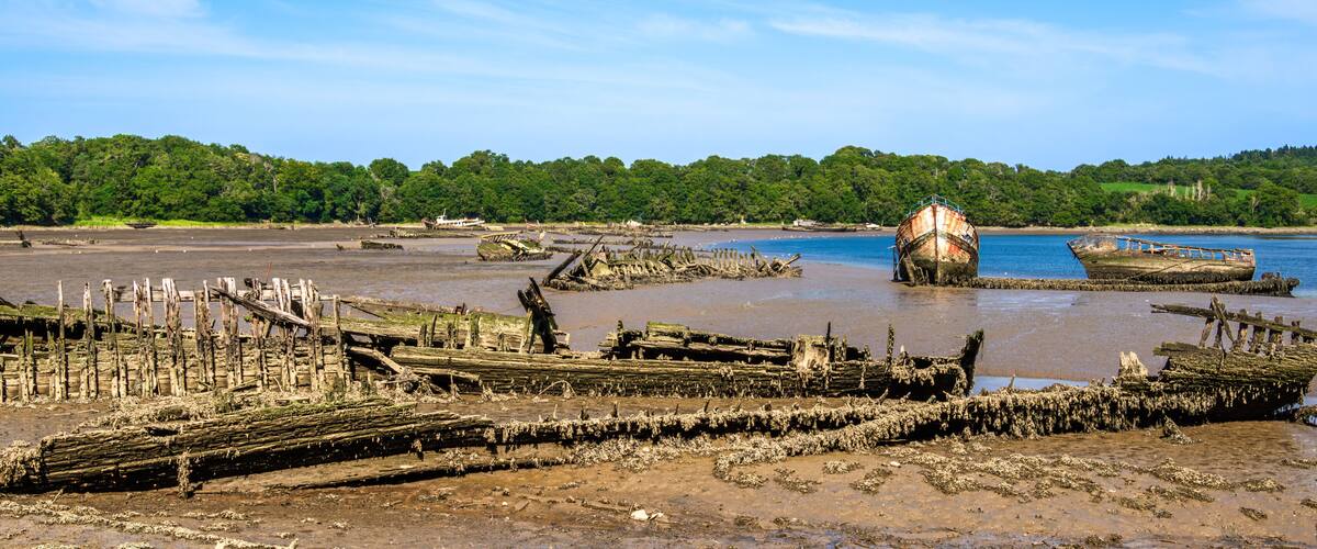 A coastal landscape with shipwrecks and a forested hill in the background.