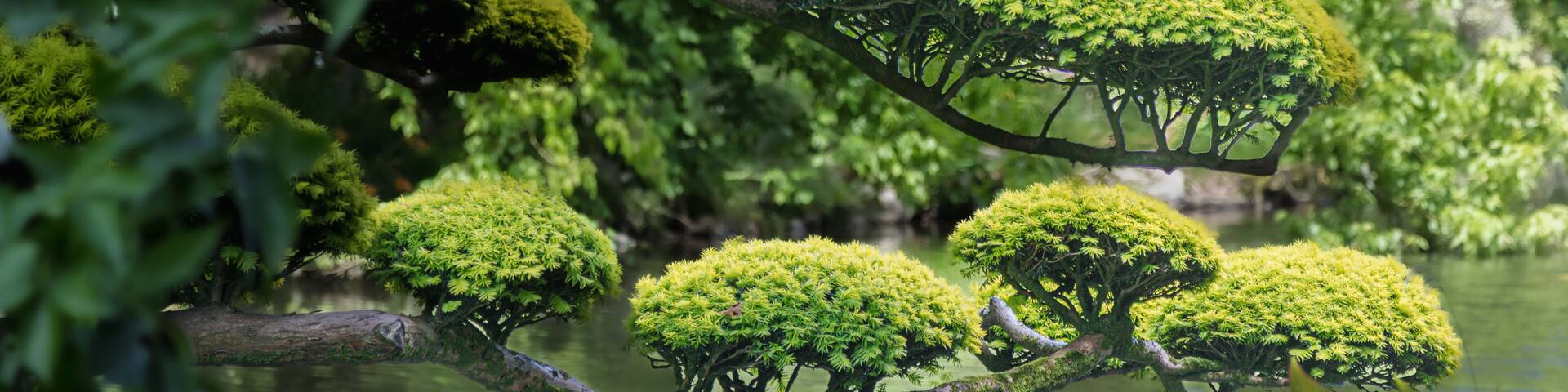 the eastern park of Maulevrier