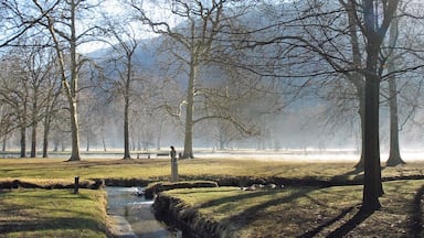 A misty park with a stream, trees, and a statue.