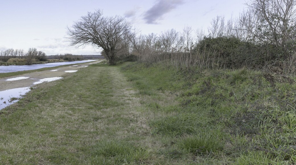 Canal du Rhône à Sète in the commune of Saint-Gilles, Gard, France