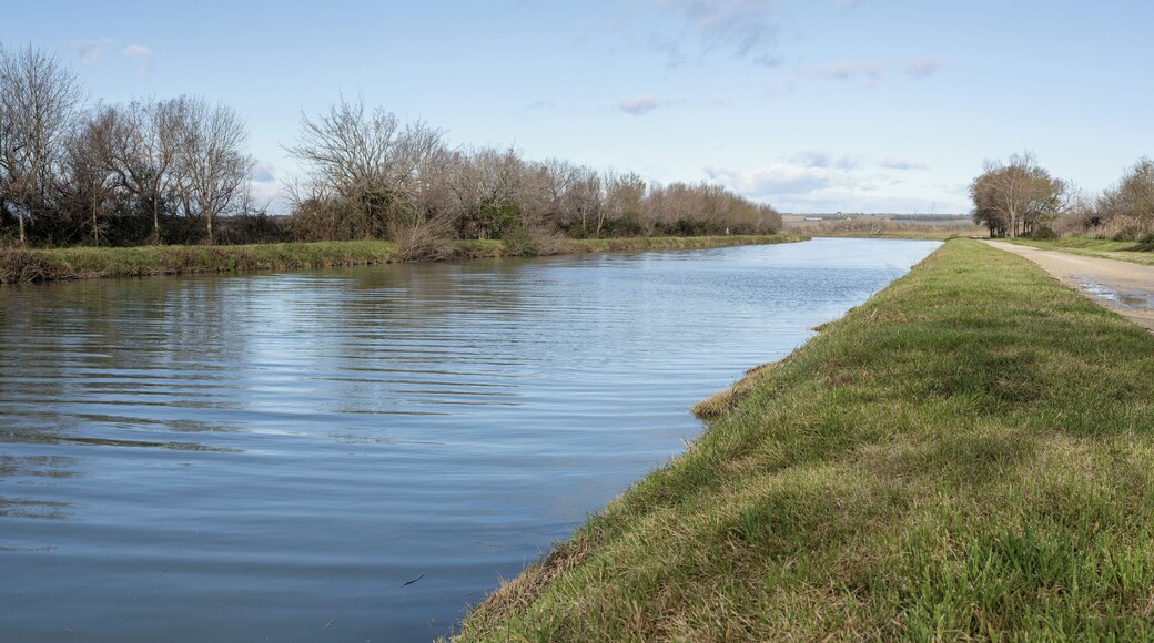 Canal du Rhône à Sète in the commune of Saint-Gilles, Gard, France