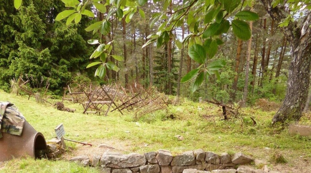 The LINGE memorial museum displays French and German objects found on site: weapons, munitions, personal objects and relics. Models of French and German infantry men, scale models of the battlefield, photos, texts, maps. Outside you can walk over the battlefield with the remains of the trenches.