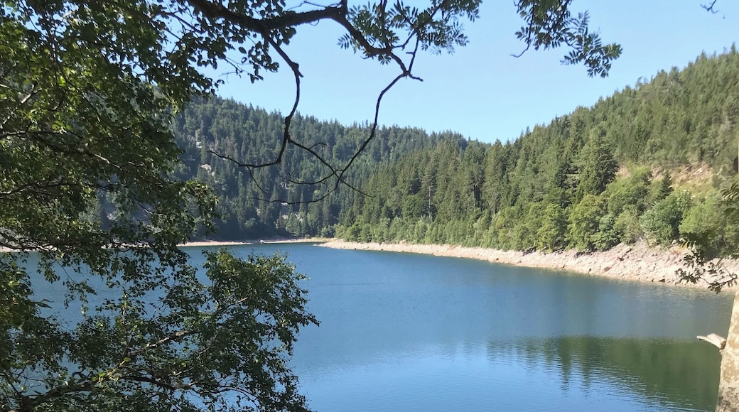 Lac Blanc, the upper of two glacial lakes in the Voges Alsace France.
This is the “white” lake at 1050m altitude with an awesome 300m hiking possibility straight up bouldering for an awesome view.
The “black” lake, Lac Noir is a little smaller and at an altitude of 950m also a nice walk to combine the two. Good pauzing possibilities wit huts and Auberges for drinks, resting and something good to eat as well.
Both are now used for hydro-power-generation so unfortunately swimming is not allowed.
