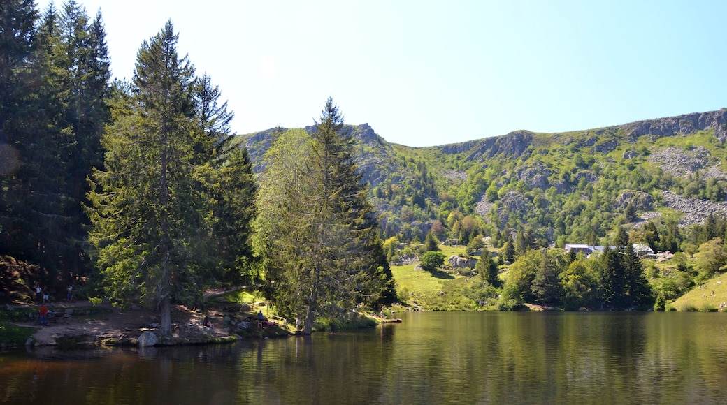 Un lac entouré d’une forêt dense et de montagnes.
