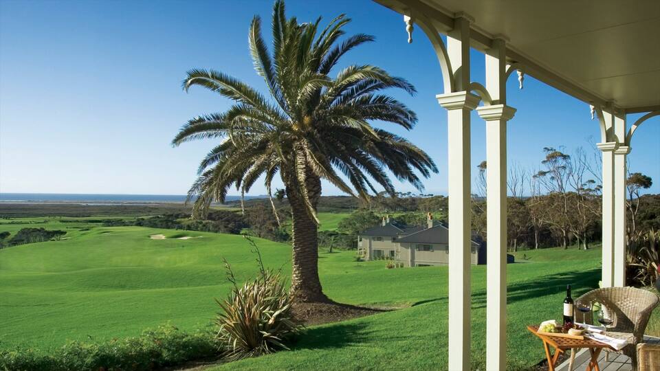 A golf course with a palm tree, a house, and a covered patio with a table and chairs.