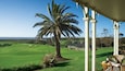 A golf course with a palm tree, a house, and a covered patio with a table and chairs.