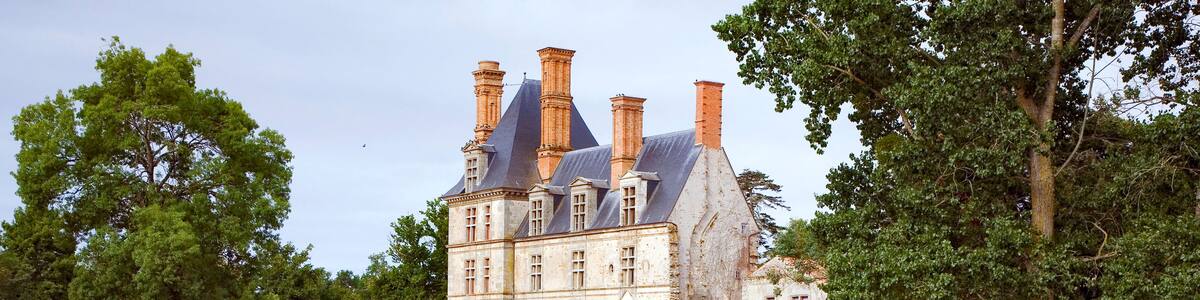 france; 85; avrillé : chateau dec la guignardière