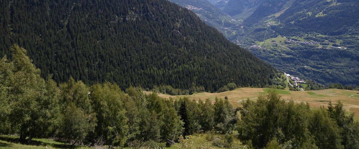 Une vallée bordée de forêts denses, une chaîne de montagnes et un petit village.