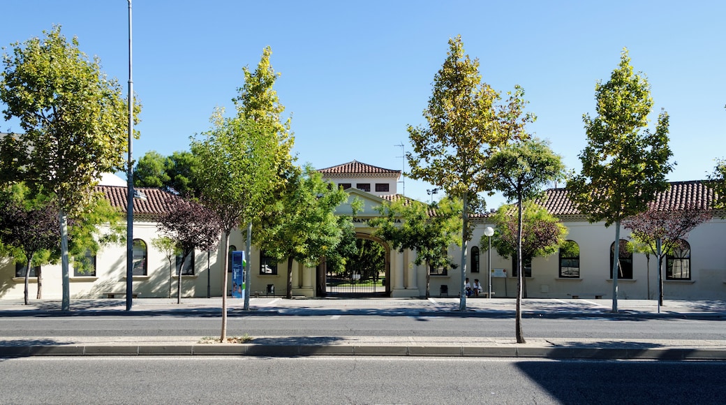 Hospital Provincial (Lleida)
