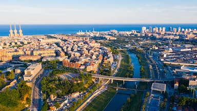 Vista aérea de una ciudad costera con un río, puentes y un paseo marítimo destacado, con edificios y una gran masa de agua.