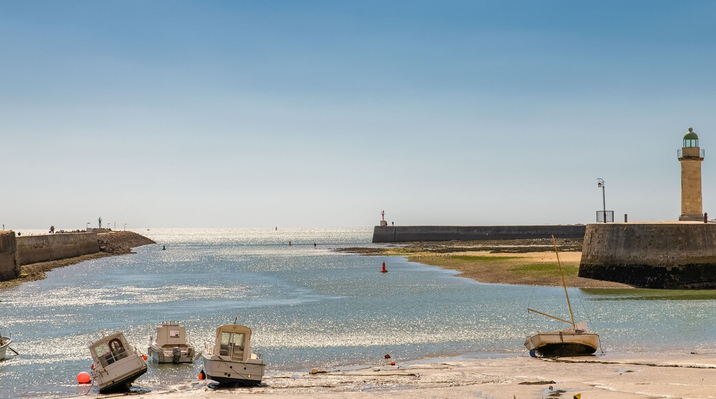 Saint-Gilles-Croix-de-Vie, in Vendee, typical harbor