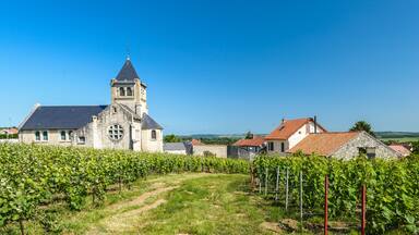 Church of a small village in the Champagne region in France, near Reims.