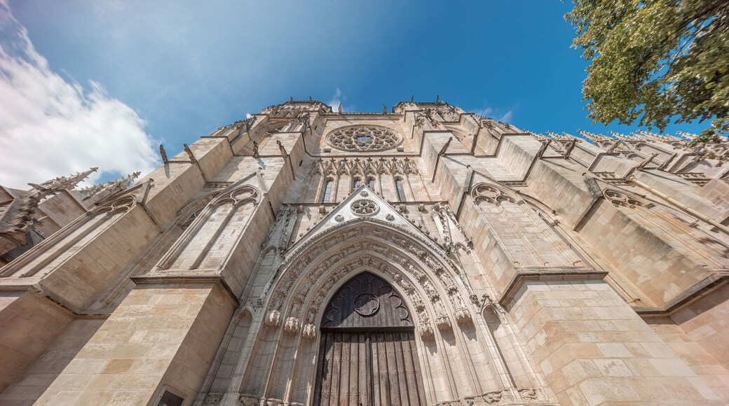 Cathedrale Saint-Andre de Bordeaux timelapse with twin spires. France