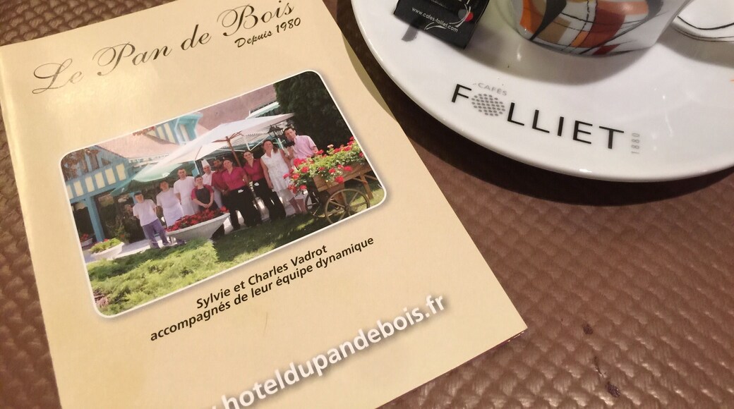 February 2015
On our overnight stop at Troyes on our way back from skiing we found this great family run restaurant and had an extremely good meal here. With its beautifully French decor and friendly staff I would recommend if you're ever in the area.
There's also the family run Hotel on the site too, so it's ideal for an easy stop while passing through to your destination.