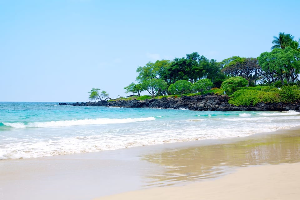 A beach with turquoise water, sandy shore, and lush green trees.