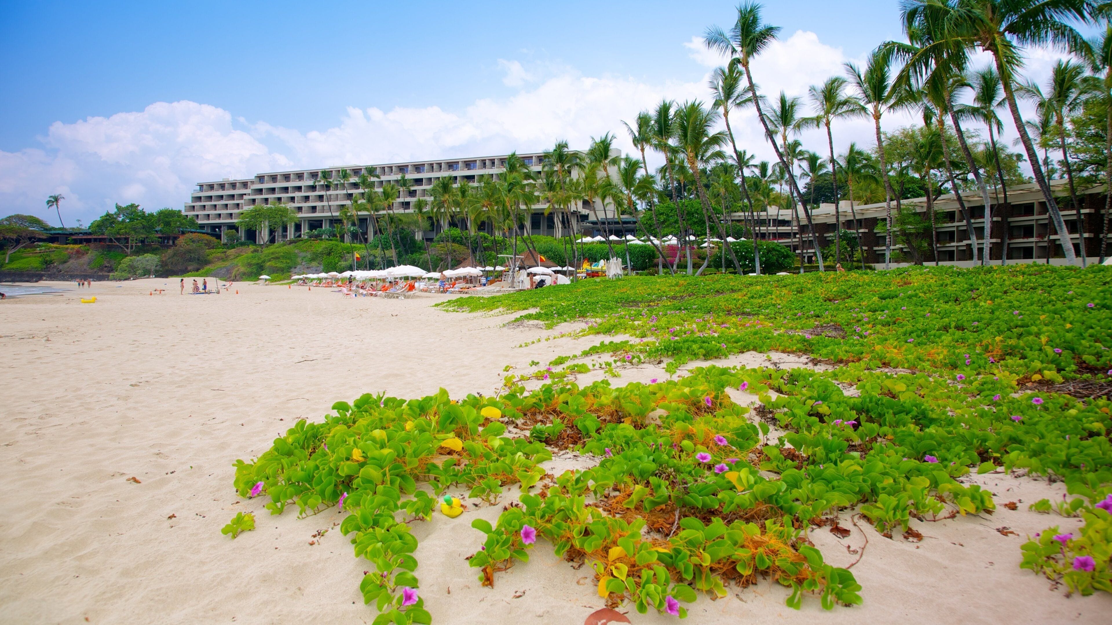 Mauna Kea showing a coastal town, tropical scenes and a beach