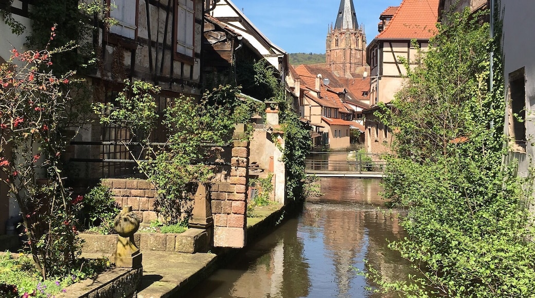Wissembourg is a quaint commune in the Bas-Rhin department in Grand Est in northeastern France. It is situated on the little River Lauter close to the border between France and Germany approximately 60 km north of Strasbourg and 35 km west of Karlsruhe.