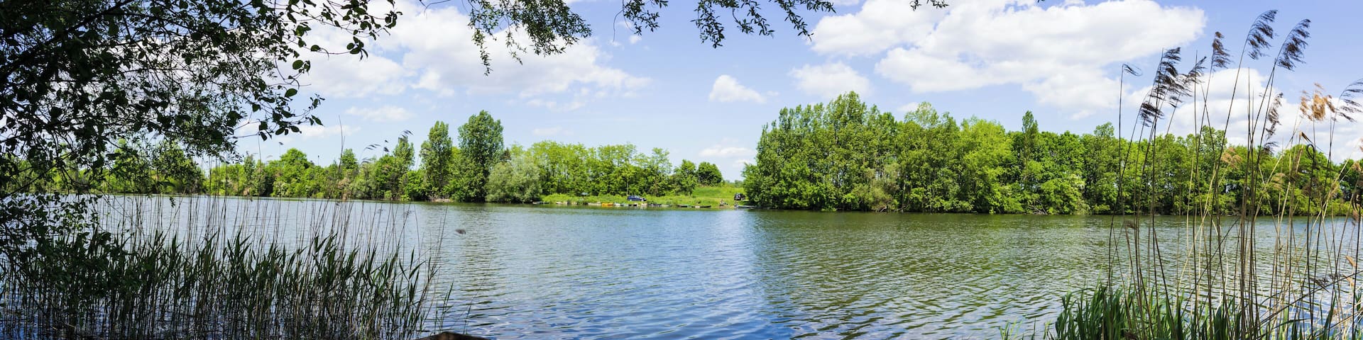 Das Bild wurde am Altrhein bei Russheim aufgenommen in der Nähe vom Baggersee Brecht