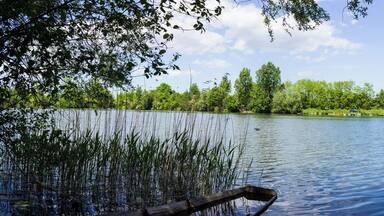 Das Bild wurde am Altrhein bei Russheim aufgenommen in der Nähe vom Baggersee Brecht