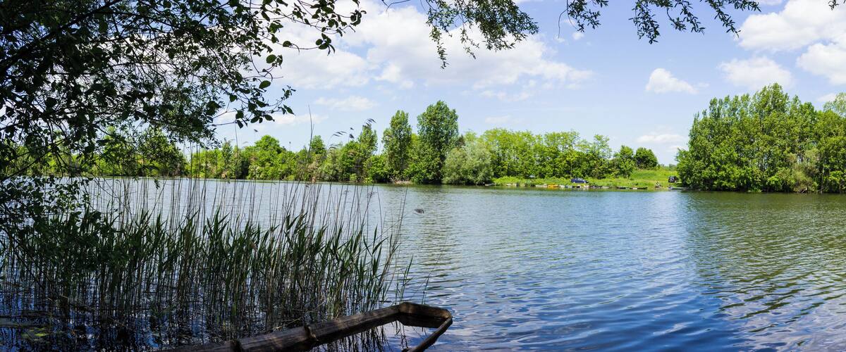 A calm lake surrounded by lush greenery and trees.