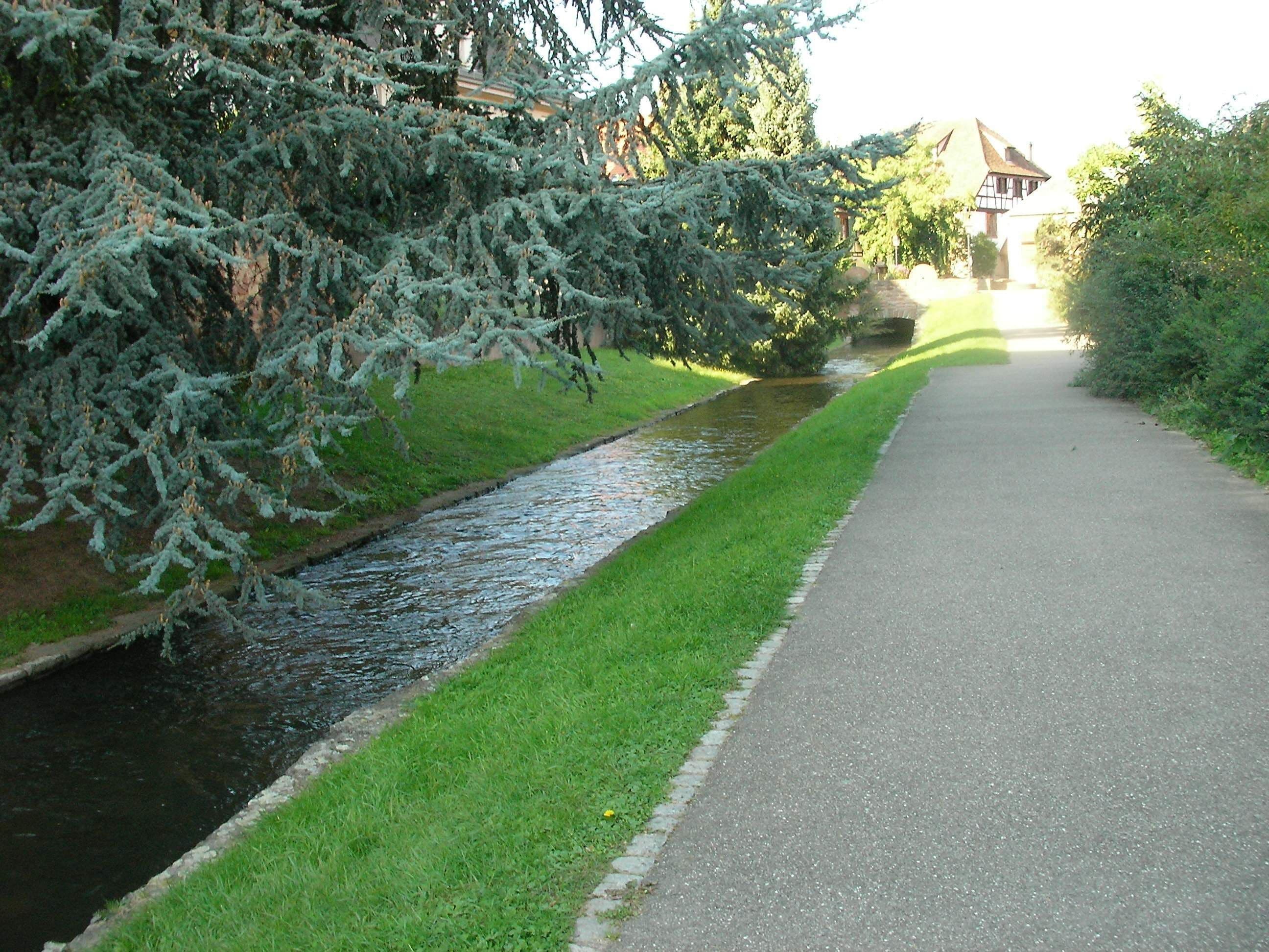 Rivière à Molsheim (Bas-Rhin, France).