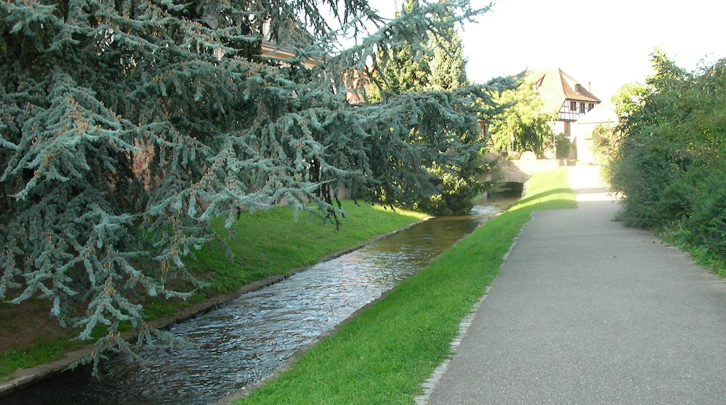 Rivière à Molsheim (Bas-Rhin, France).
