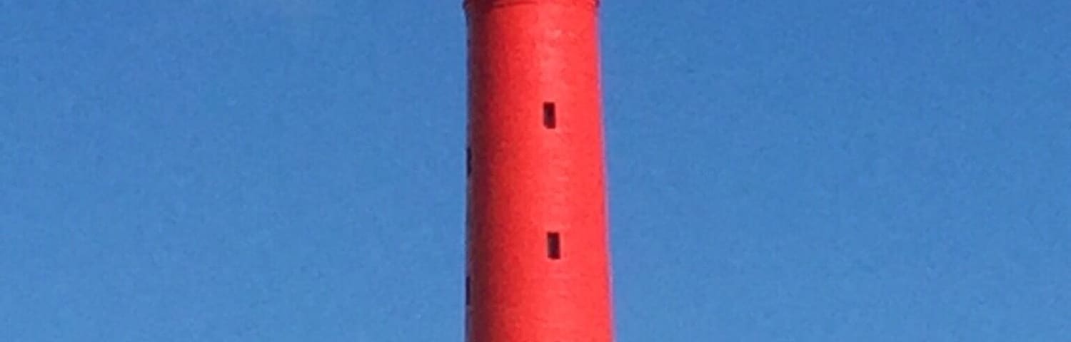 Close to our favourite beach at La Tremblade.