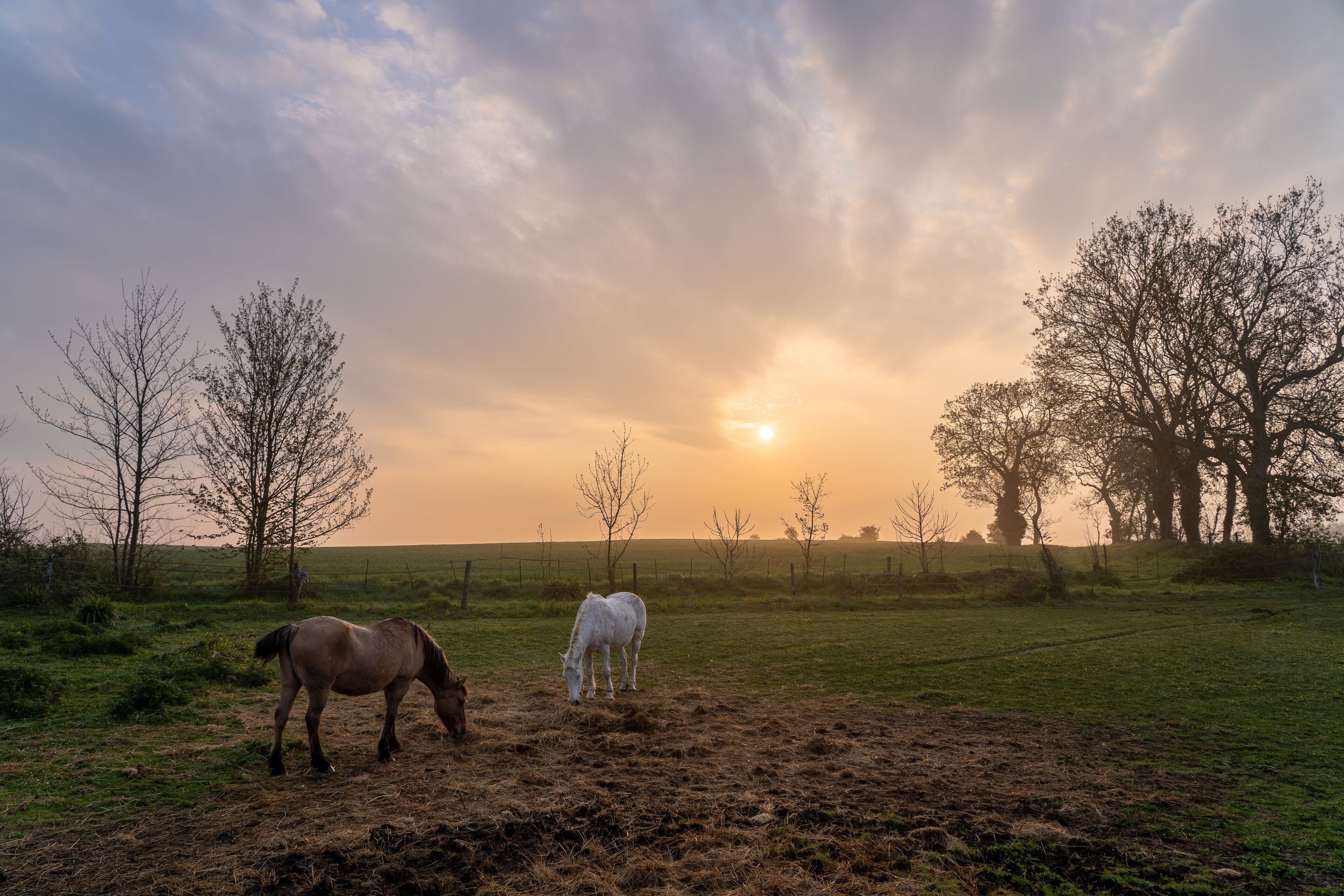 Frankreich Bretagne bei Saint-Brieuc