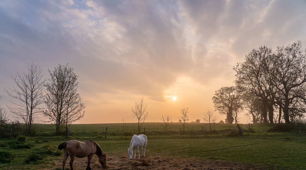 Frankreich Bretagne bei Saint-Brieuc
