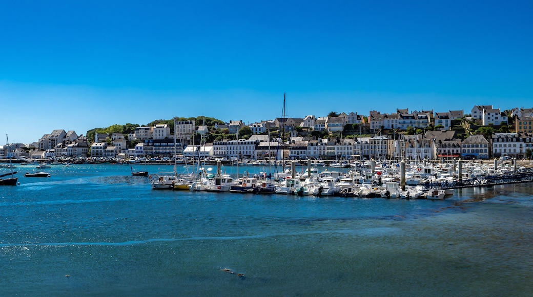 ออเดียร์น