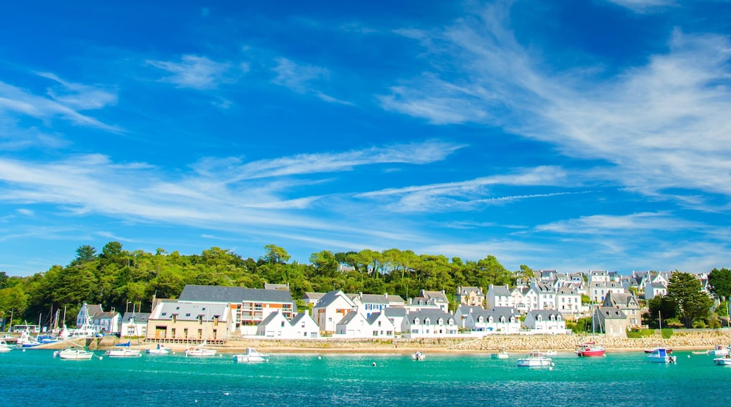 ออเดียร์น