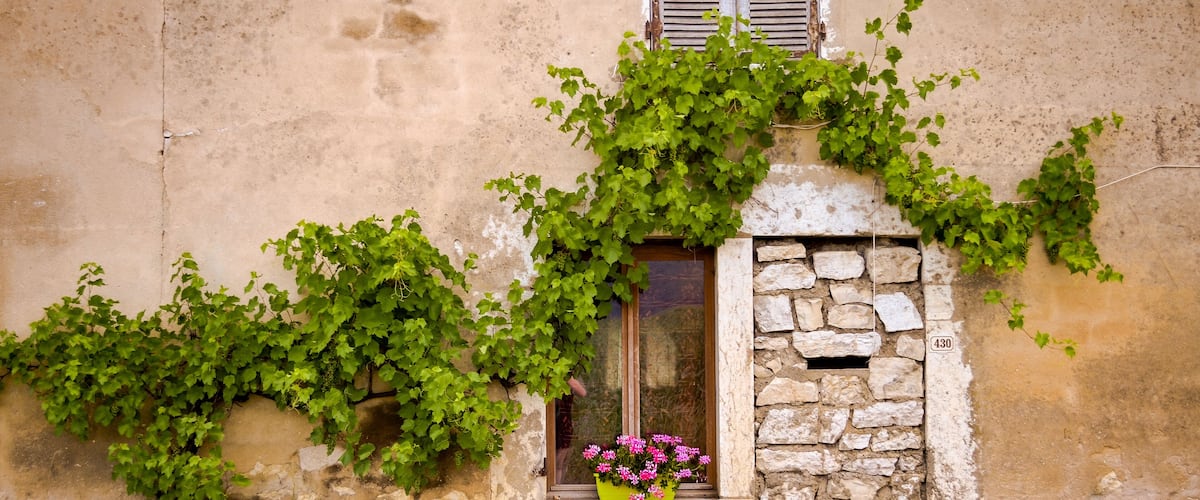 A weathered building with a stone window frame and a number '430' on the wall.