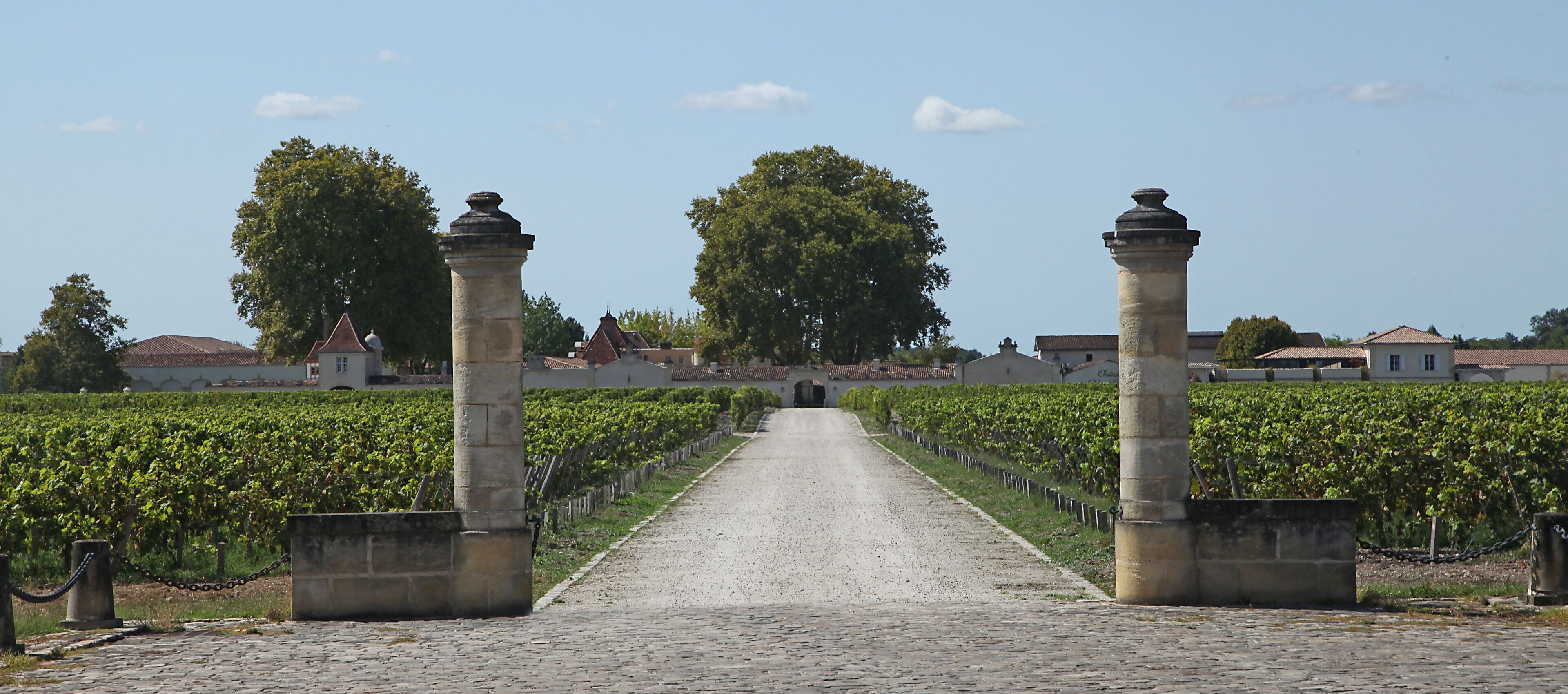Vignoble bordelais cru Margaux	