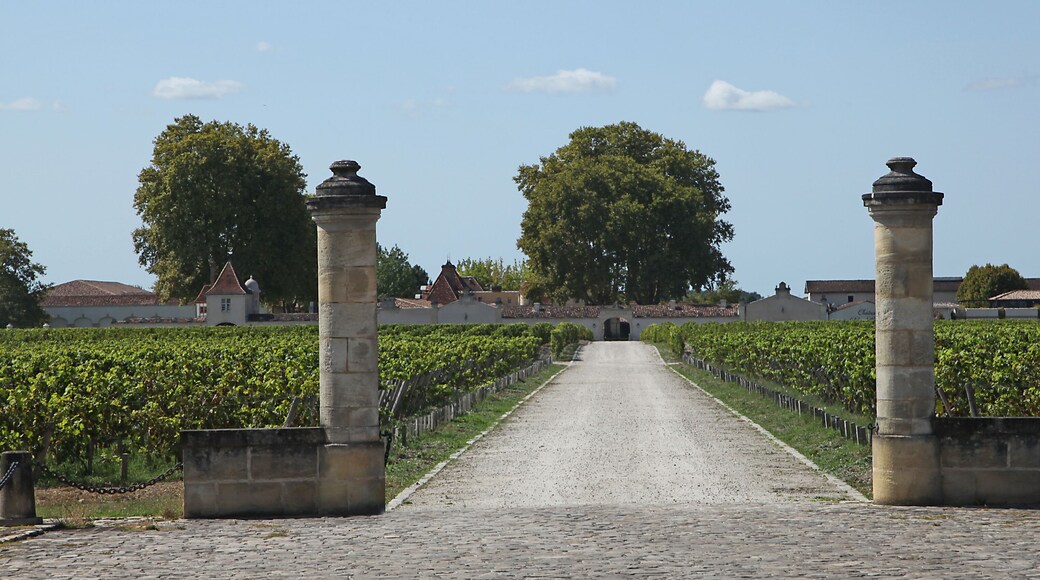 Le Pian-Medoc