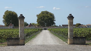 Le Pian Medoc