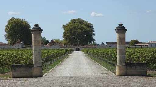 Vignoble bordelais cru Margaux
