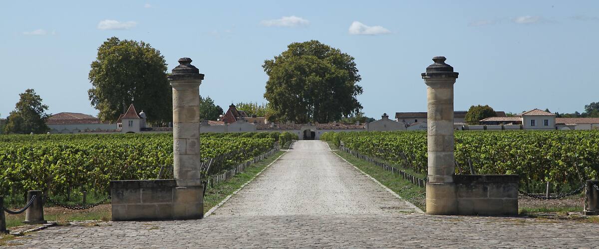 A cobblestone path leading through a vineyard with stone pillars and tall trees.