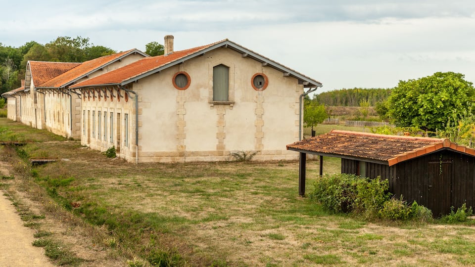 A row of white buildings with red roofs, a dirt path, and a grassy field.