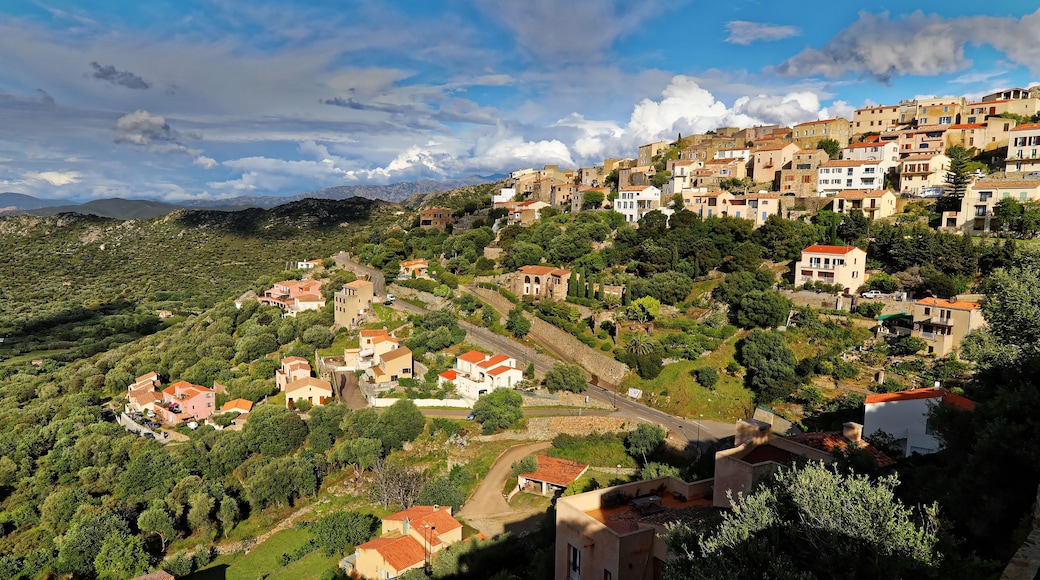 Heights of Monticello village Corsica