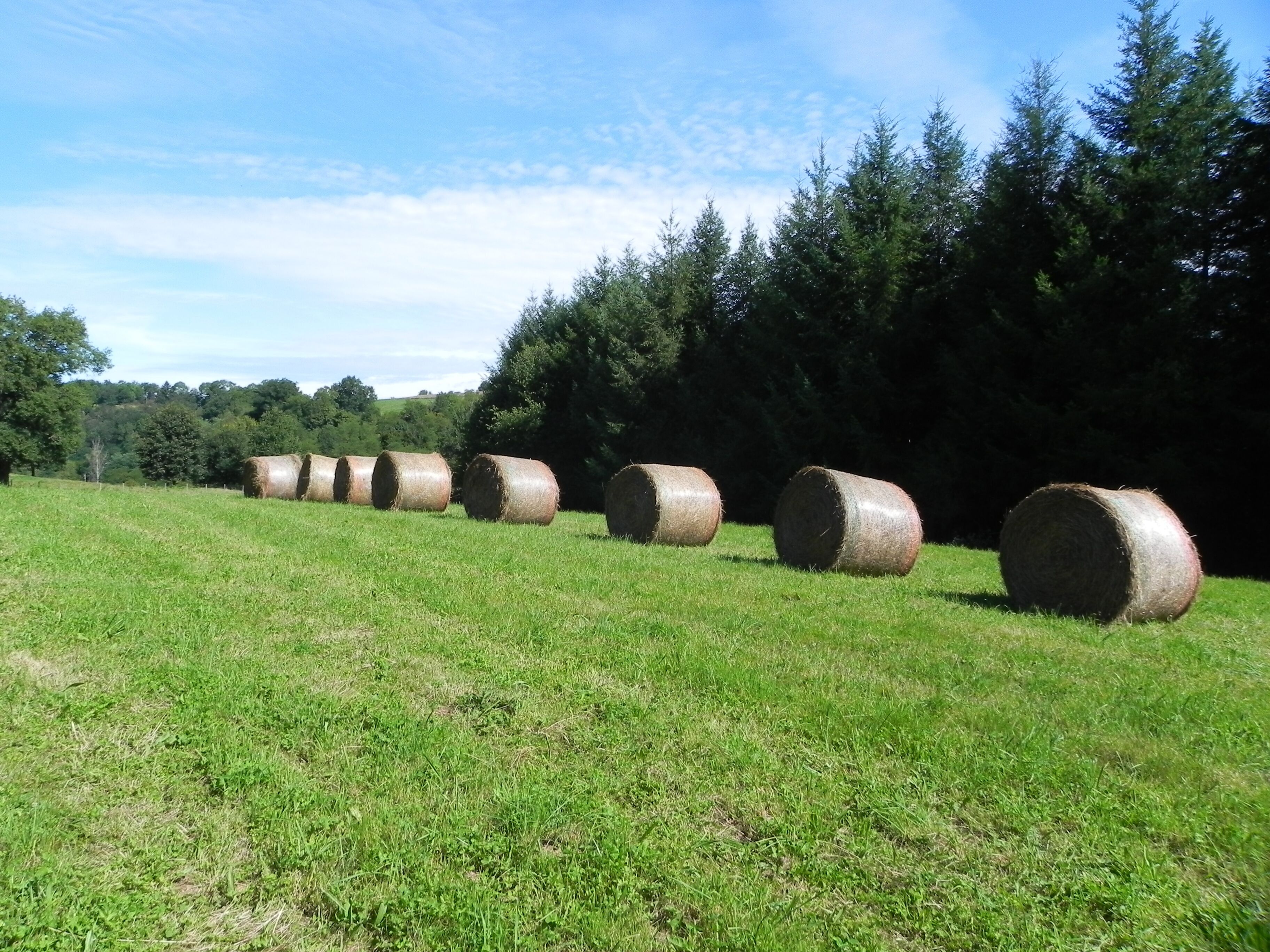 L'Aubepie, Circuit de randonnee autour de Pierre Buffiere