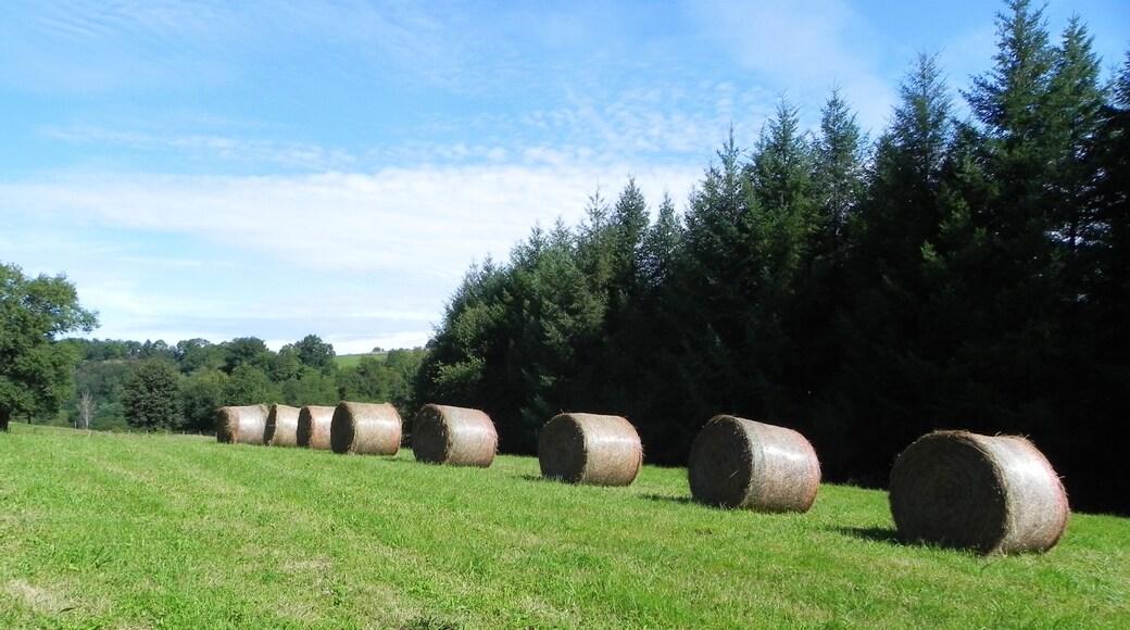 L'Aubepie, Circuit de randonnee autour de Pierre Buffiere