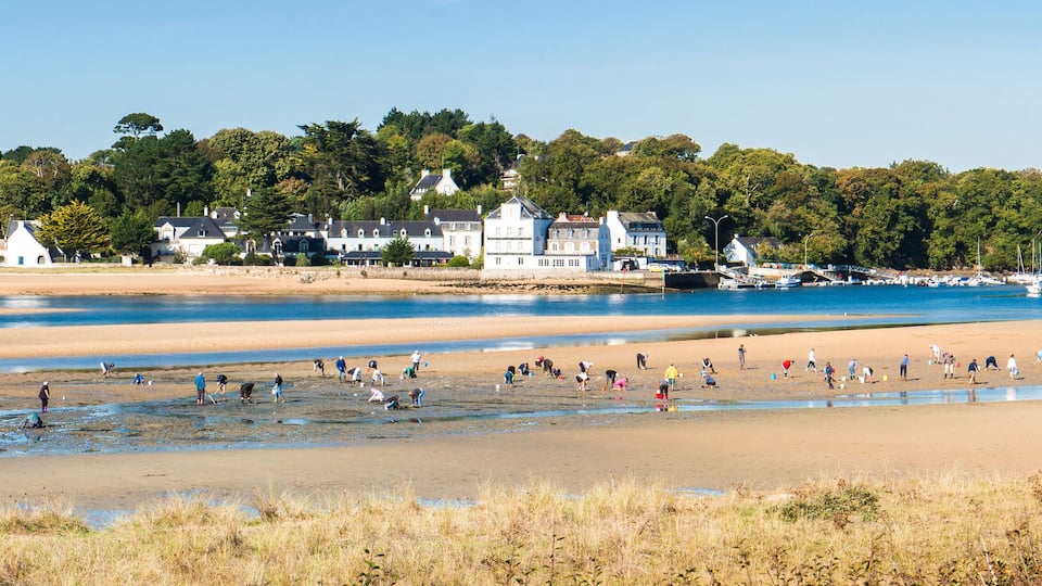 A coastal area with a sandy beach, a calm blue sea, and a forested hill in the background.