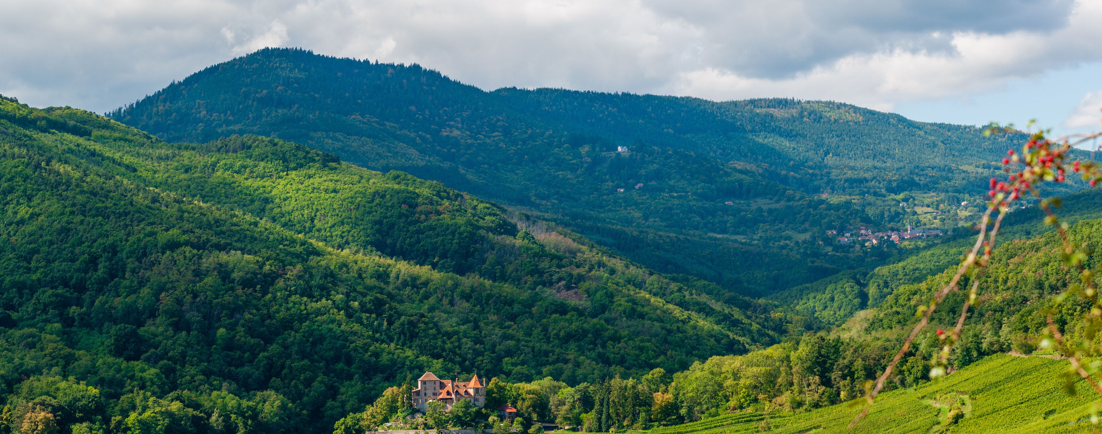 A lush valley with rolling hills, a small house, and a distant mountain range.